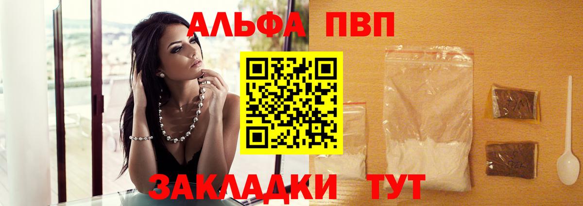 A PVP СК Новозыбков
