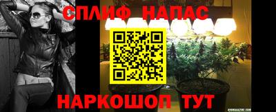гидропоника Ставрополь