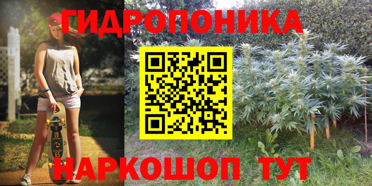 Марихуана план Новозыбков